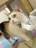 0809_007.JPG