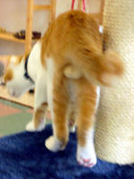 0809_011.JPG