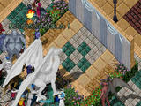 080920_02.jpg