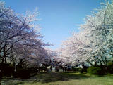 090409.jpg