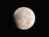 DSC_0217.jpg