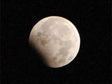 DSC_0245.jpg