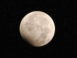 DSC_0266.jpg