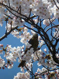 20120408_2.jpg