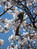 20120408_3.jpg