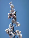 20120408_5.jpg