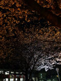 20120408_7.jpg
