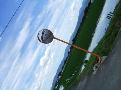 光呼の風