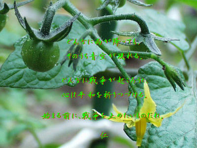 平和の砦