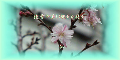 淡雪や美しく観る力得る