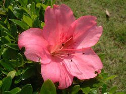 DSCF0052.JPG
