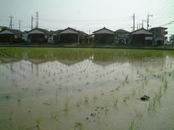 DSCF0066.JPG