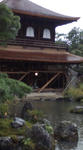D1000168.jpg