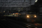 20080912turumi.jpg
