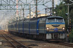 20081006Fujibusa.JPG