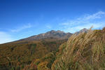 20081107kouyou3.JPG