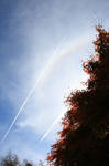 20081112niji.JPG
