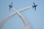 20081112blue3.JPG