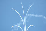 20081113b2.JPG