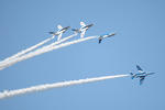20081113b3.JPG