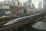 20081117_500_1.JPG