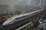 20081117_500_2.JPG.JPG