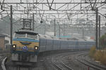 20081117_oiso.JPG