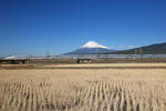 20081130_500_2.JPG