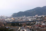 20090112_1.JPG