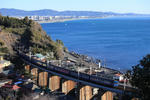 20090125_1.JPG
