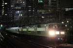 20090131_2.JPG