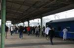20090304_7s.JPG