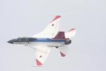 20090329_2.JPG