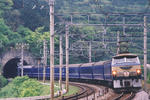 20090419_2.JPG