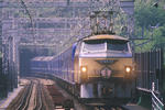 20090419_1.JPG