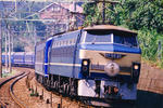 20090419_4.JPG