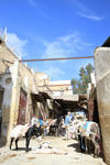 20091203_4.jpg