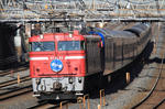 20100111_1.jpg