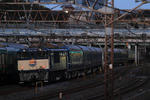20100111_2.jpg