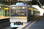 20100113_3.jpg