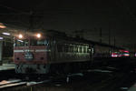 20100121_5.jpg