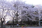 20100414.JPG