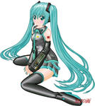 miku02.jpg