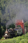 20100811_2.JPG