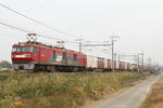 20101118_4.JPG