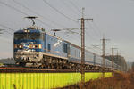 20101231_4.JPG