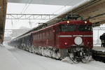 2011.01.10_4.JPG