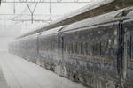2011.01.10_5.JPG