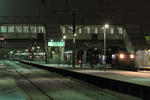 2011.01.27_3.JPG