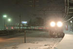 2011.01.27_2.JPG